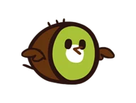 Kiwi Bird